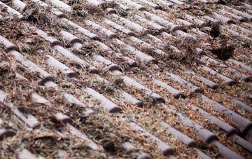 Hardwick roof cleaning companies